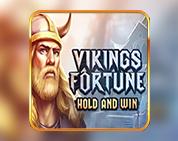 Vikings Fortune: Hold and Win